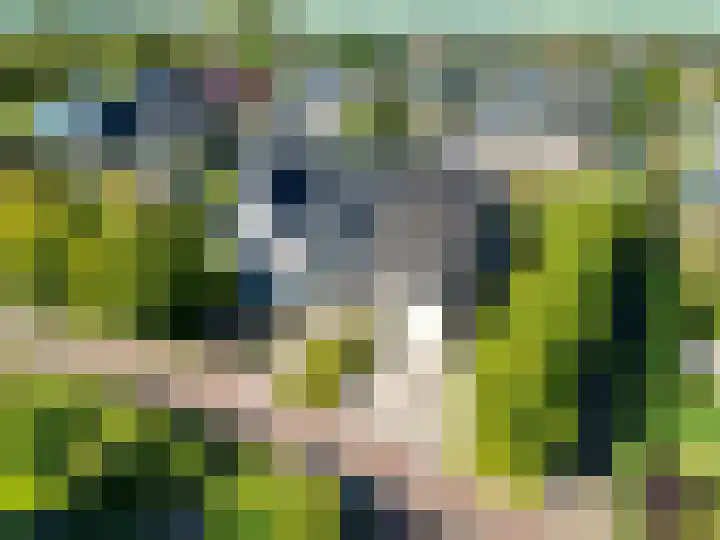 Jacob Teweslaan 3 Uithuizen thumbnail 5