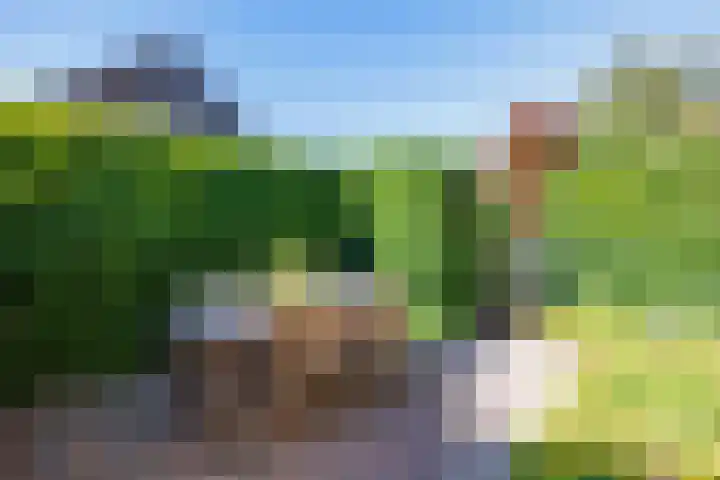 Jacob Teweslaan 3 Uithuizen thumbnail 52