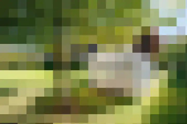 Jacob Teweslaan 3 Uithuizen thumbnail 54