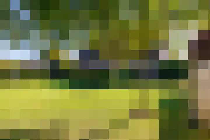 Jacob Teweslaan 3 Uithuizen thumbnail 55