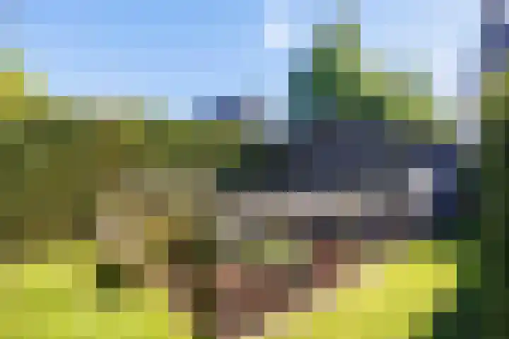 Jacob Teweslaan 3 Uithuizen thumbnail 57