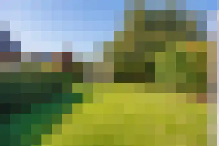 Jacob Teweslaan 3 Uithuizen thumbnail 59