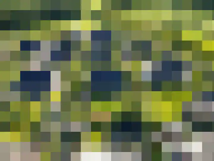 Jacob Teweslaan 3 Uithuizen thumbnail 6