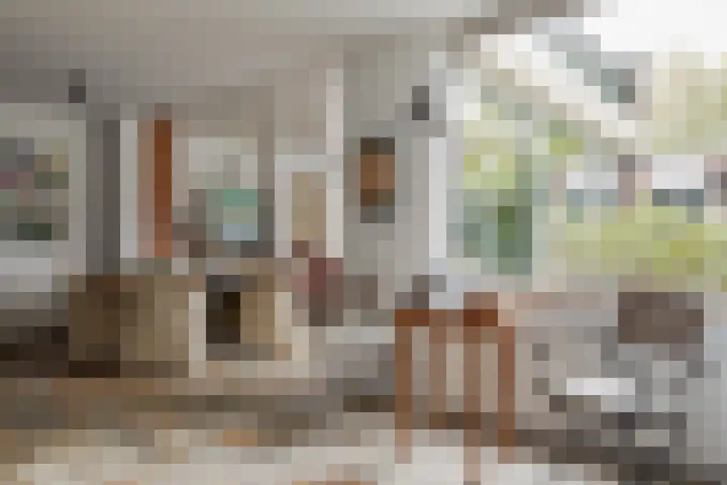 Jacob Tonissenstraat 1 Edam thumbnail 10