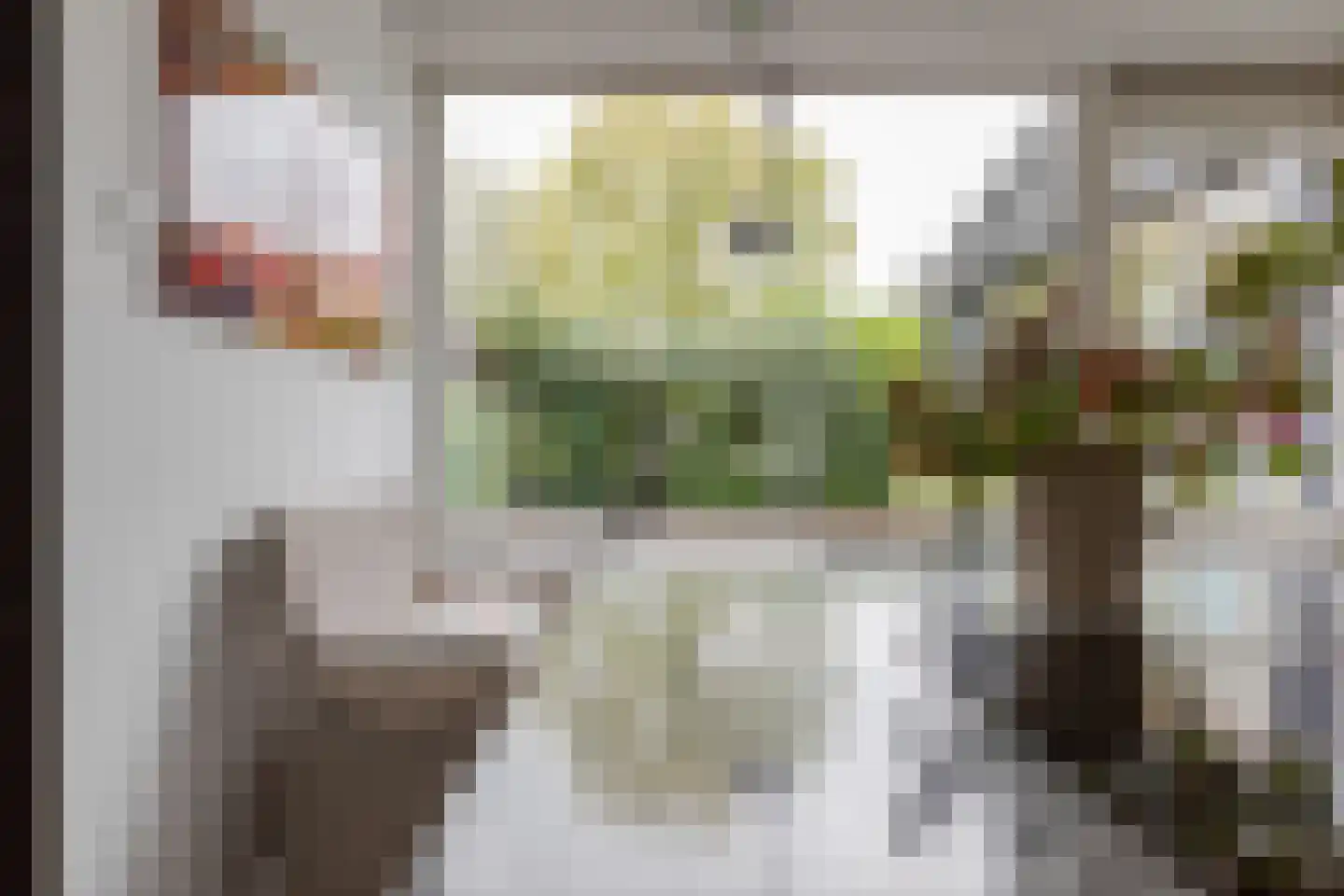 Jacob Tonissenstraat 1 Edam thumbnail 27