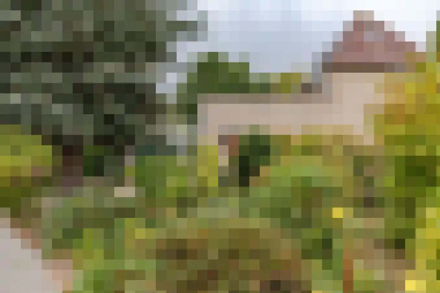 Jacob Tonissenstraat 1 Edam thumbnail 6
