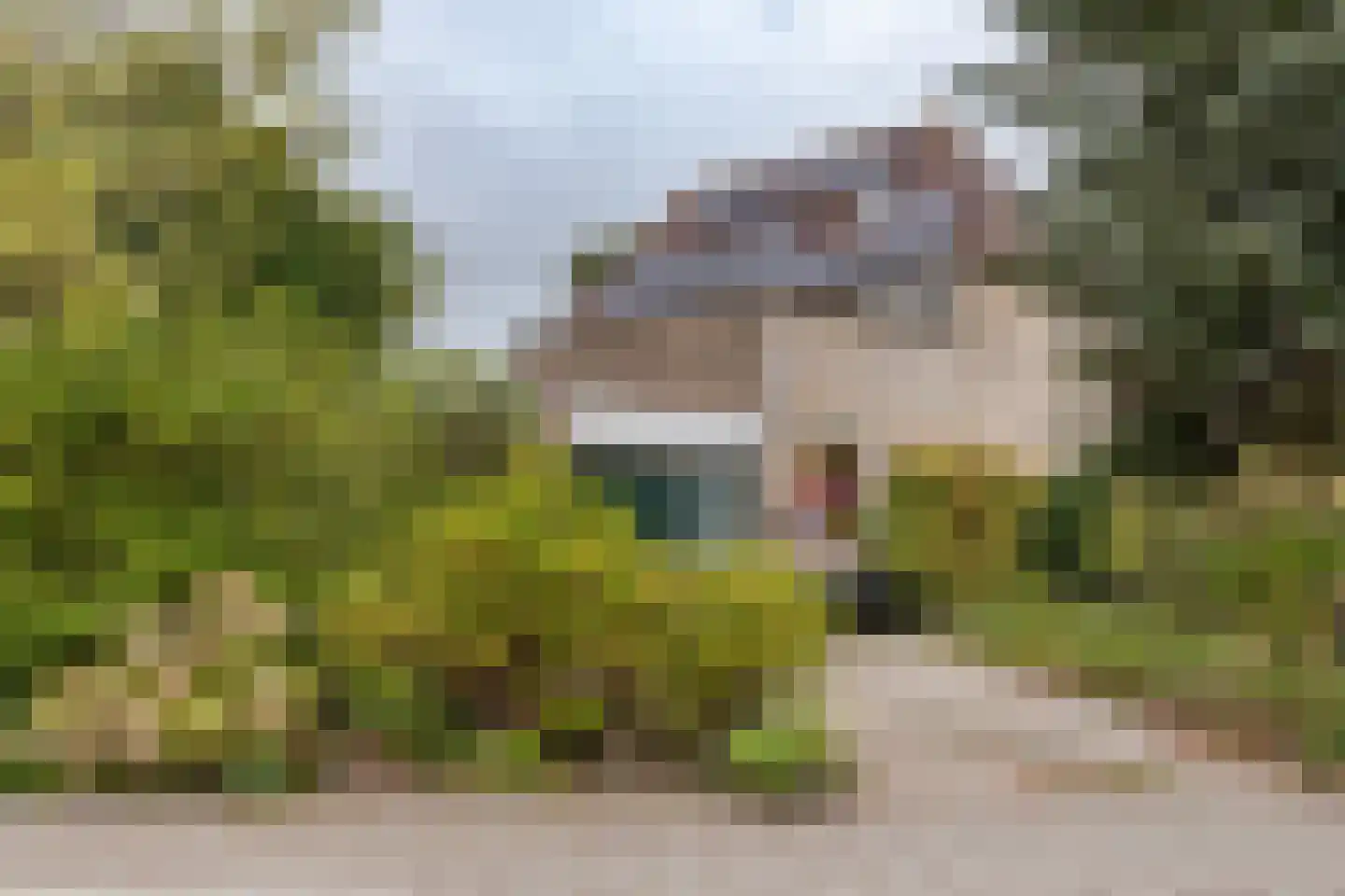 Jacob Tonissenstraat 1 Edam thumbnail 60