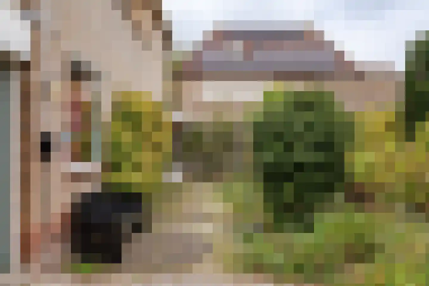 Jacob Tonissenstraat 1 Edam thumbnail 7