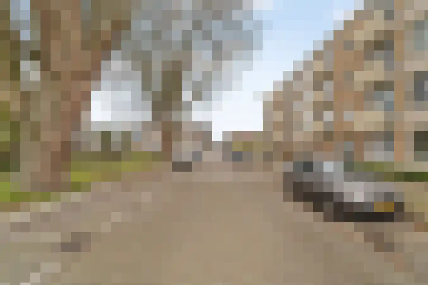 Jacob van Akenstraat 102 Rotterdam thumbnail 23