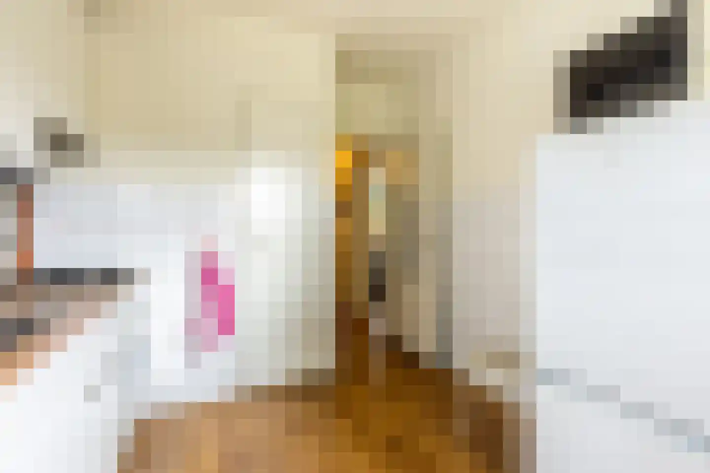 Jacob van Akenstraat 134 Rotterdam thumbnail 39