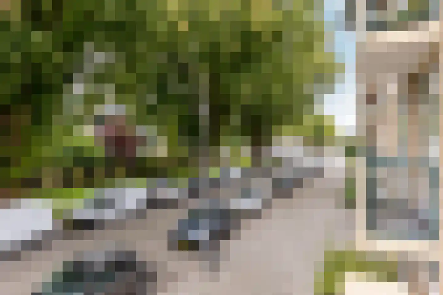 Jacob van Akenstraat 134 Rotterdam thumbnail 52