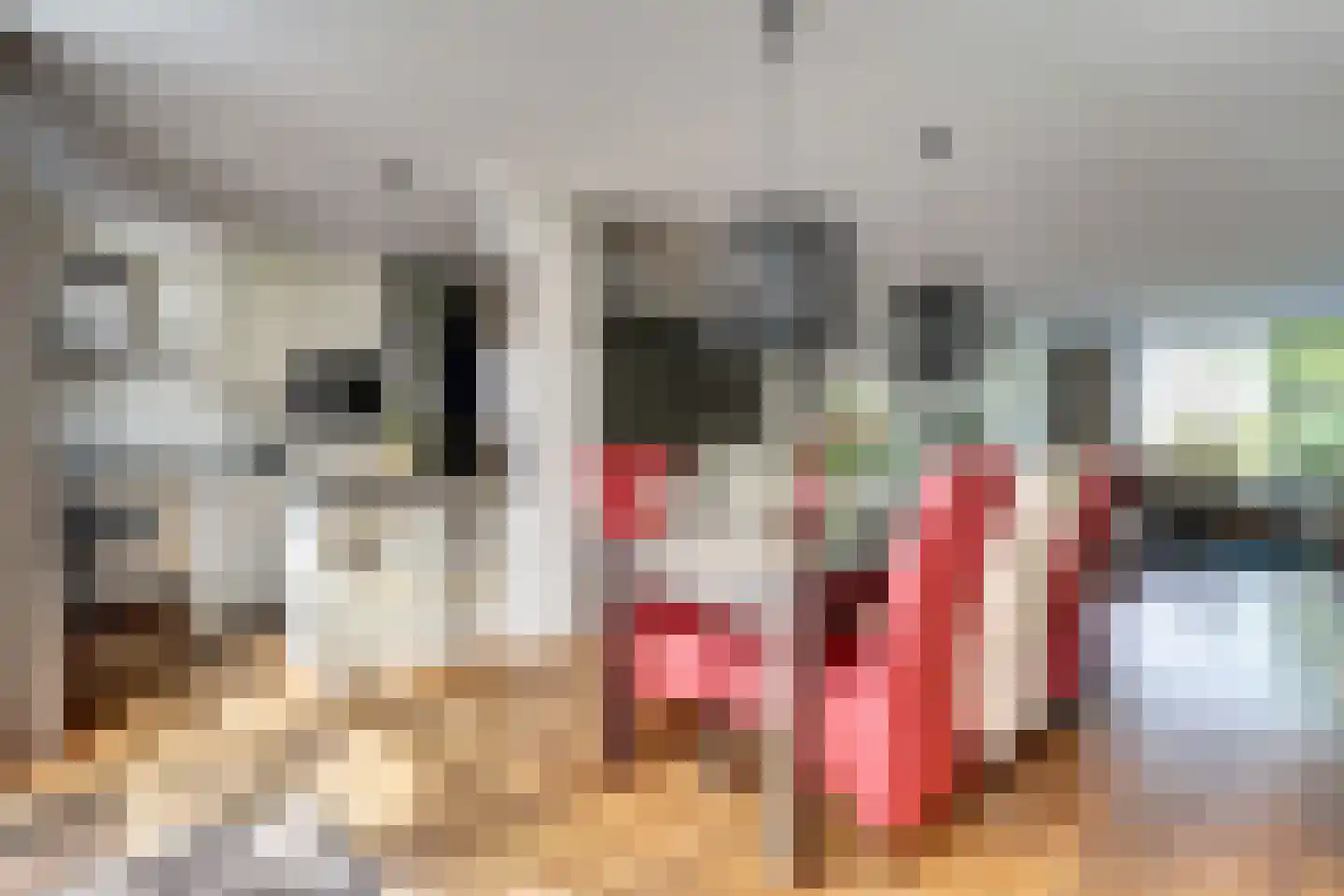 Jacob van Akenstraat 54 Rotterdam thumbnail 11
