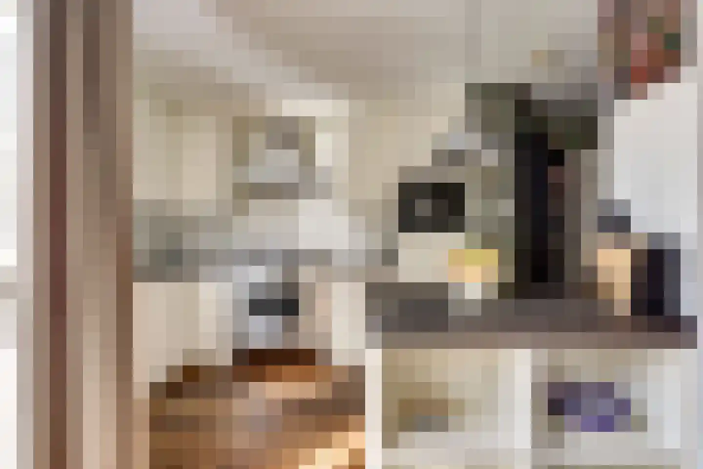 Jacob van Akenstraat 54 Rotterdam thumbnail 13