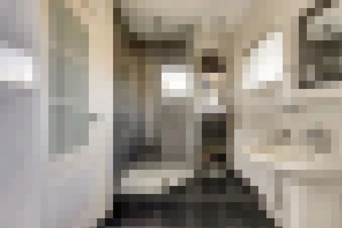 Jacob van Akenstraat 54 Rotterdam thumbnail 30