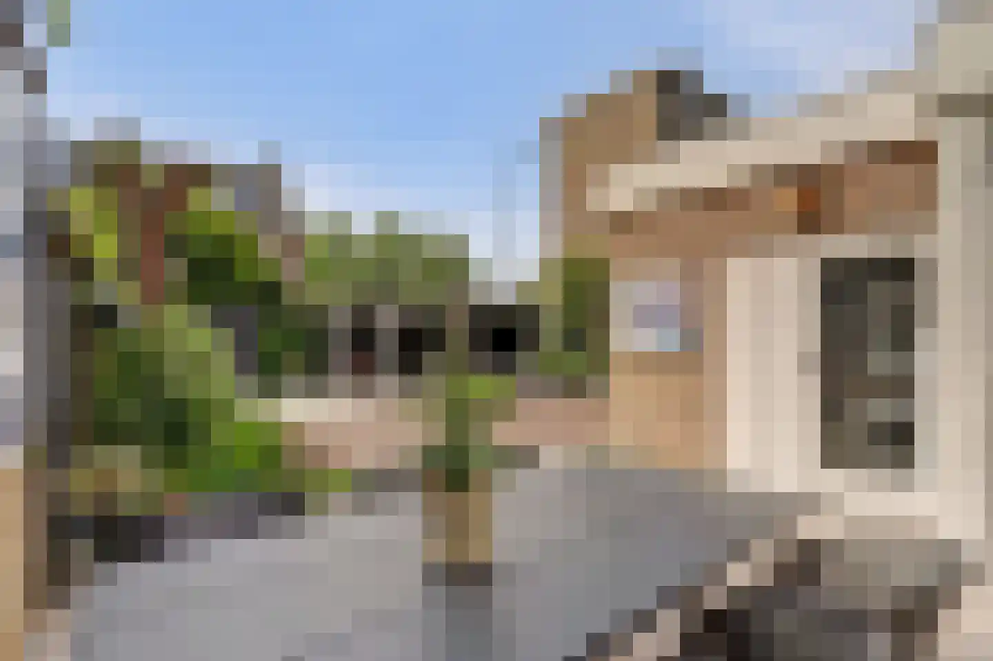 Jacob van Akenstraat 54 Rotterdam thumbnail 37