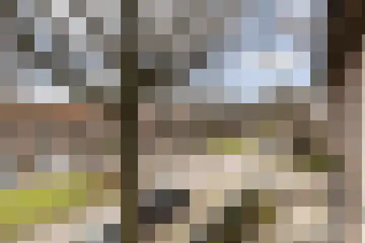 Jacob van Campenlaan 101 Hilversum thumbnail 8