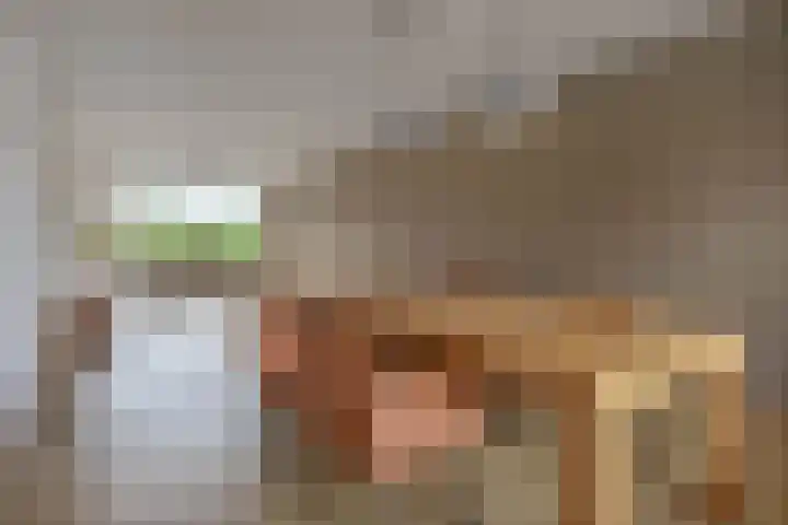 Jacob van Campenlaan 102 Leiden thumbnail 25