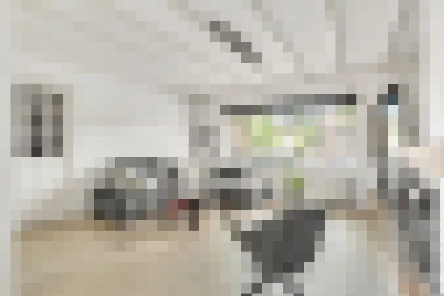 Jacob van Campenlaan 105 Hilversum thumbnail 7
