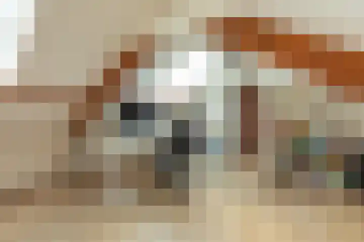 Jacob van Campenlaan 106 Hilversum thumbnail 25