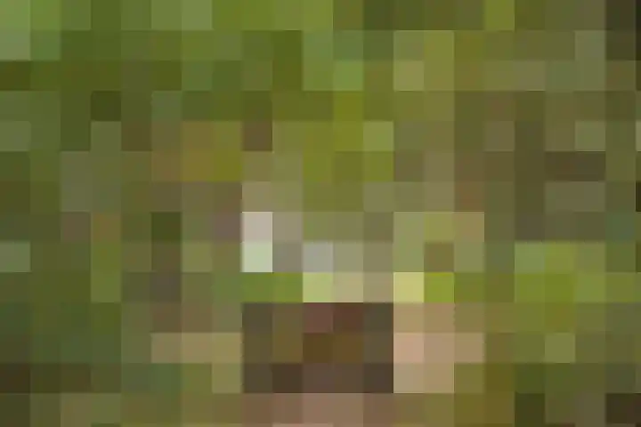 Jacob van Campenlaan 106 Hilversum thumbnail 29