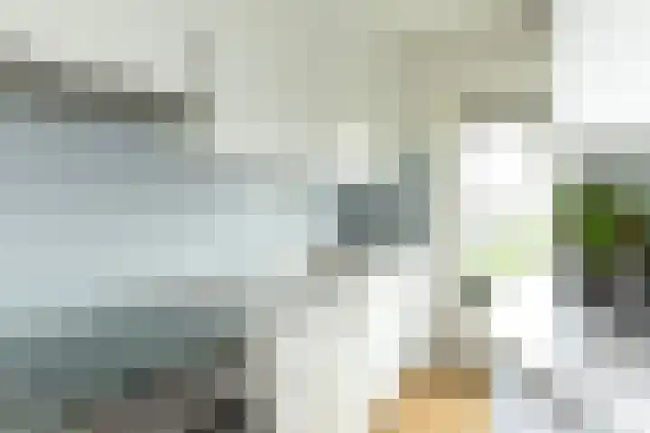 Jacob van Campenlaan 112 Hilversum thumbnail 11