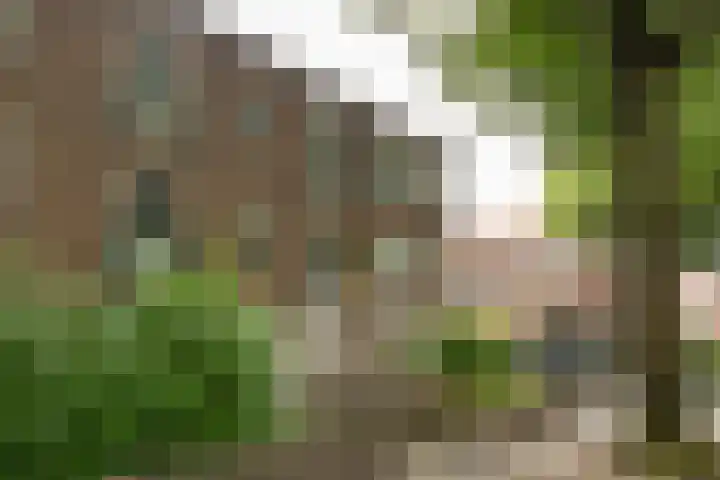 Jacob van Campenlaan 112 Hilversum thumbnail 22