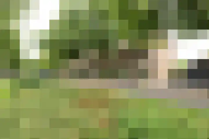 Jacob van Campenlaan 112 Hilversum thumbnail 4