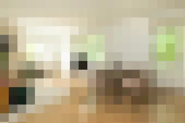 Jacob van Campenlaan 112 Hilversum thumbnail 8