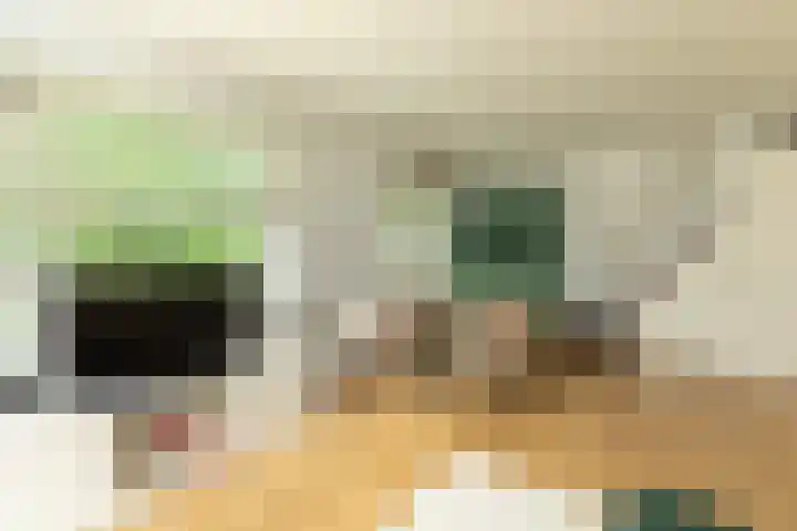 Jacob van Campenlaan 112 Hilversum thumbnail 9