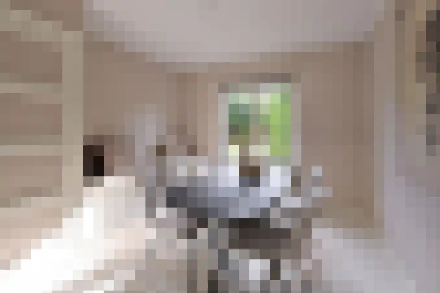 Jacob van Campenlaan 12 Hilversum thumbnail 6