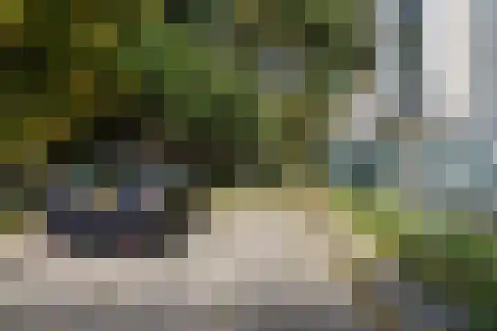 Jacob van Campenlaan 122 Leiden thumbnail 31