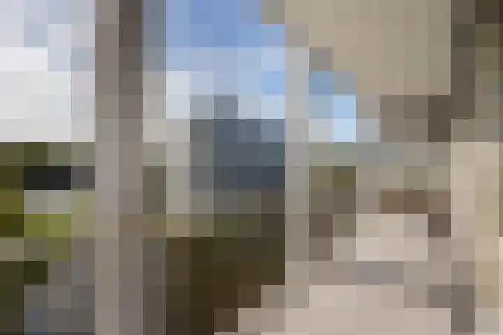 Jacob van Campenlaan 122 Leiden thumbnail 6