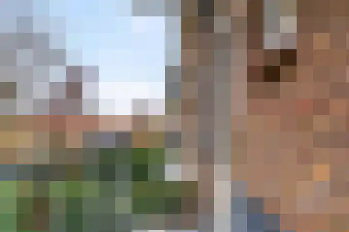 Jacob van Campenlaan 131 Hilversum thumbnail 16