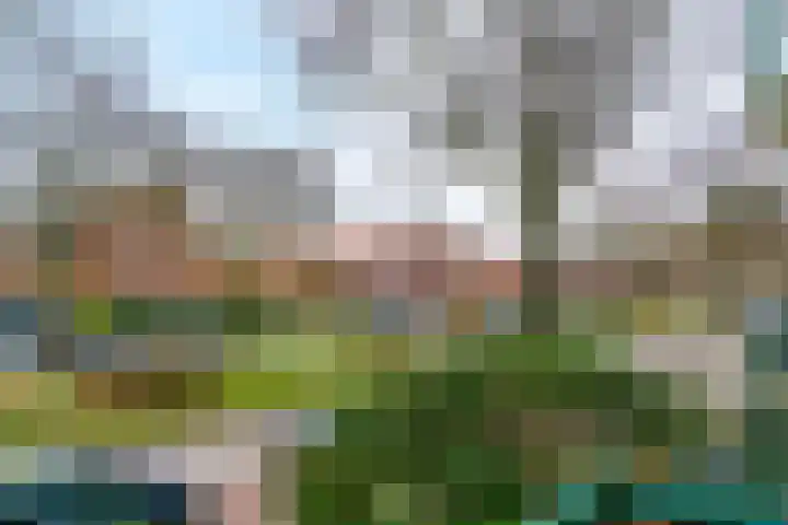 Jacob van Campenlaan 131 Hilversum thumbnail 21