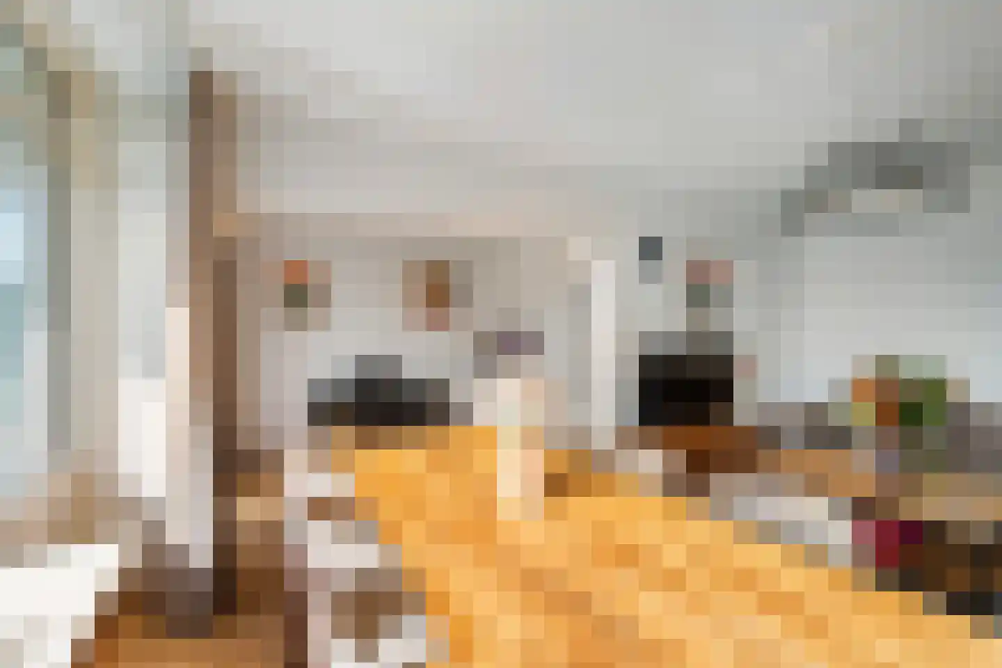Jacob van Campenlaan 148 Leiden thumbnail 17