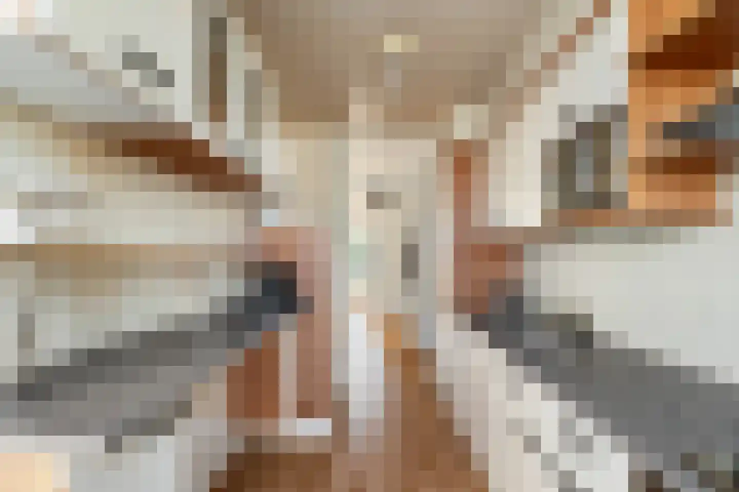 Jacob van Campenlaan 148 Leiden thumbnail 25