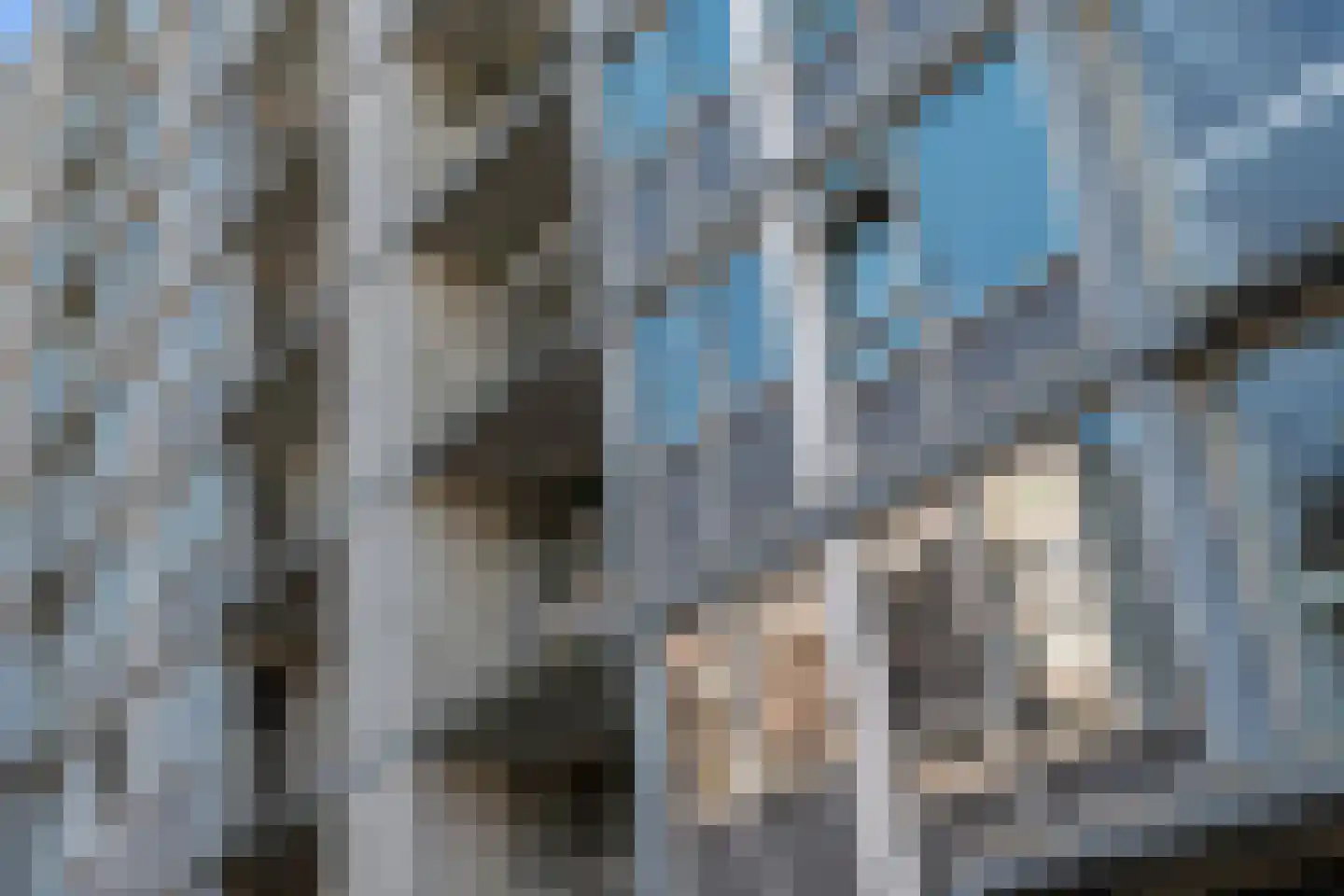 Jacob van Campenlaan 148 Leiden thumbnail 39