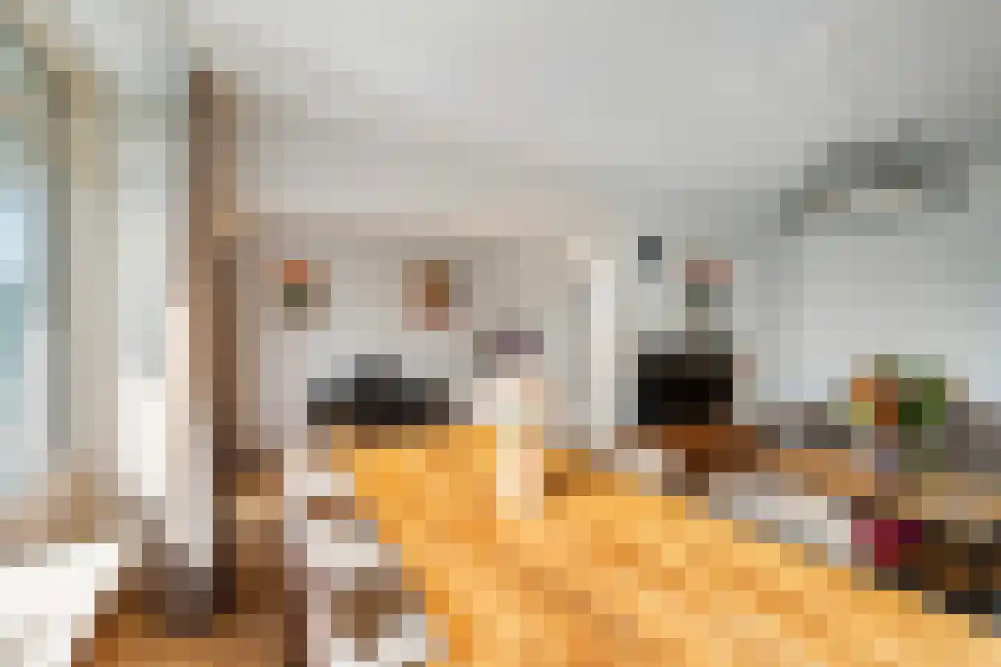 Jacob van Campenlaan 148 Leiden thumbnail 5