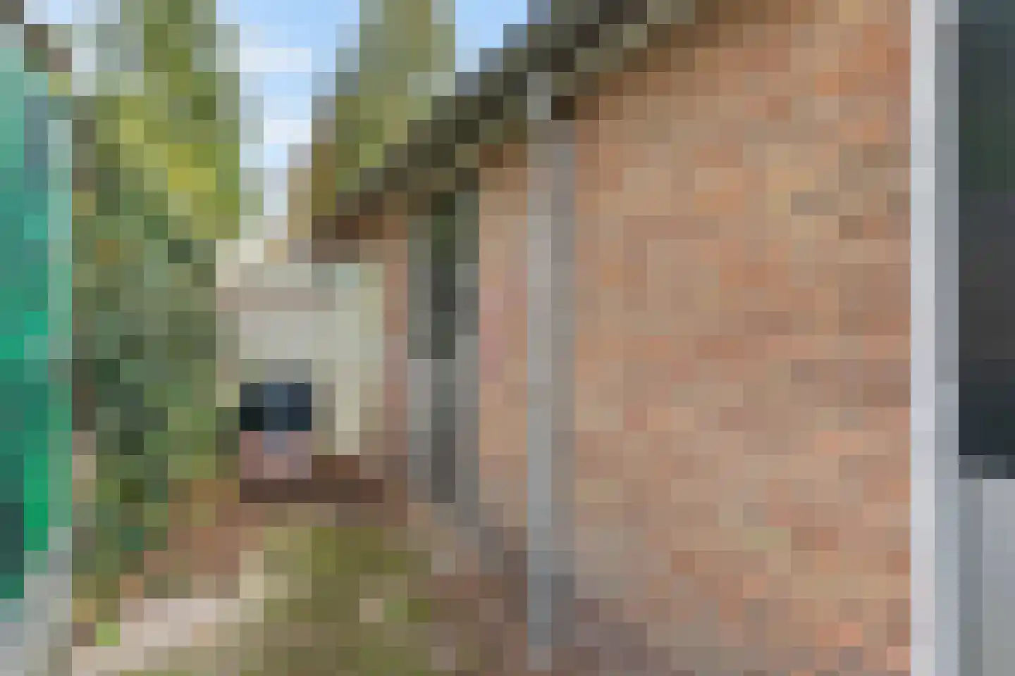 Jacob van Campenlaan 156 Hilversum thumbnail 28