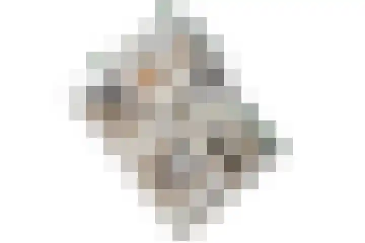 Jacob van Campenlaan 158 Leiden thumbnail 47