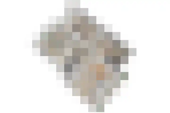Jacob van Campenlaan 158 Leiden thumbnail 48