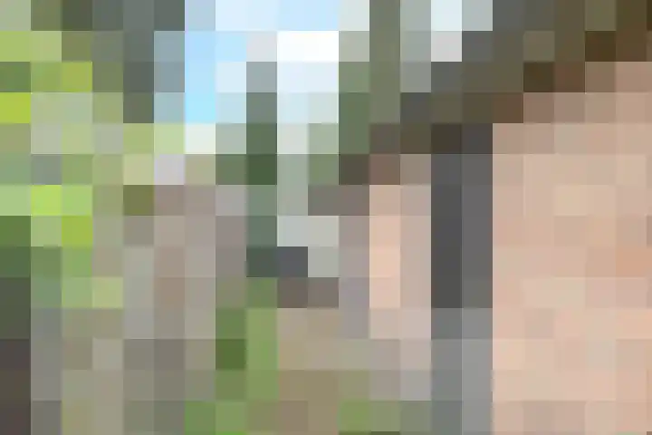 Jacob van Campenlaan 160 Hilversum thumbnail 16