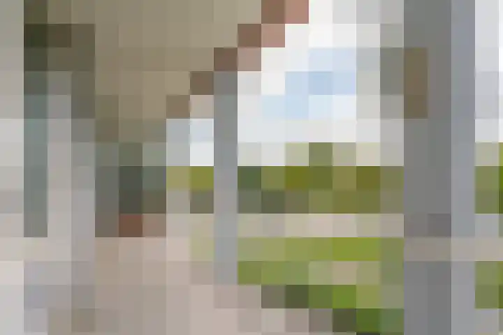 Jacob van Campenlaan 168 Leiden thumbnail 18