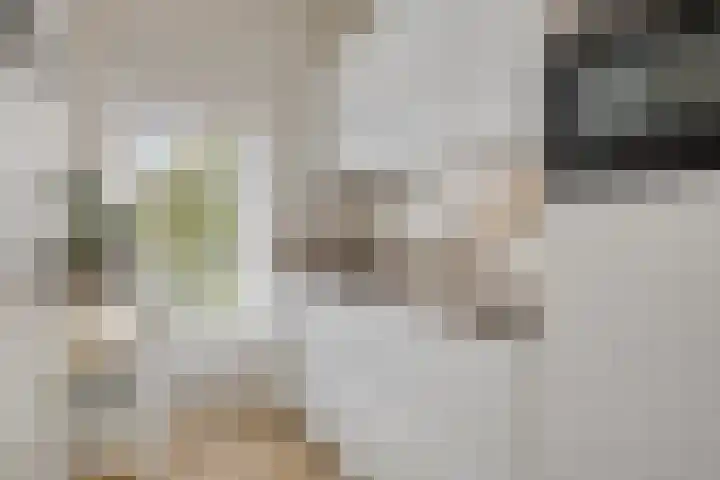 Jacob van Campenlaan 178 Hilversum thumbnail 10