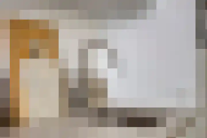 Jacob van Campenlaan 178 Hilversum thumbnail 11