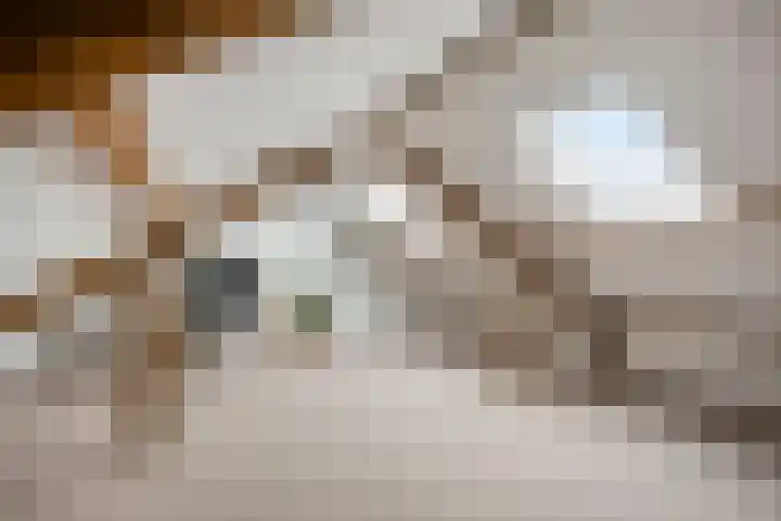 Jacob van Campenlaan 178 Hilversum thumbnail 19