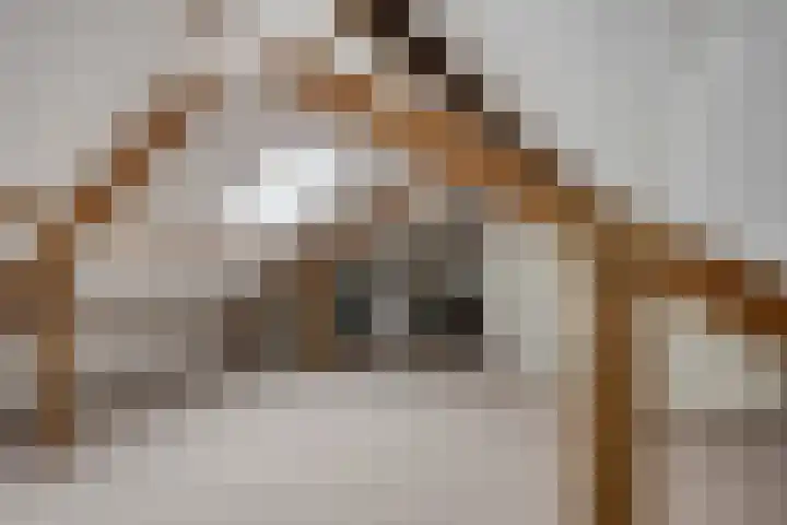 Jacob van Campenlaan 178 Hilversum thumbnail 20