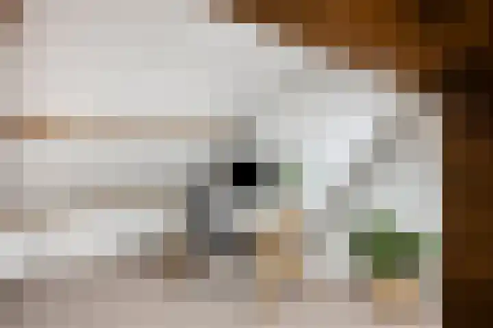 Jacob van Campenlaan 178 Hilversum thumbnail 21