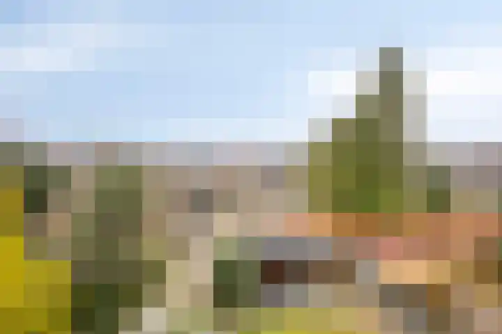 Jacob van Campenlaan 178 Hilversum thumbnail 25