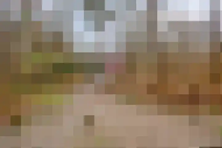 Jacob van Campenlaan 178 Hilversum thumbnail 31